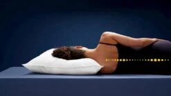 Hoofdkussen B Bright Bamboe 9 Hoofdkussen B Bright Bamboe -Karlsson Winkel Hoofdkussen Bamboe 2