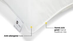 Hoofdkussen B Bright Bamboe 10 Hoofdkussen B Bright Bamboe -Karlsson Winkel Hoofdkussen Bamboe 3