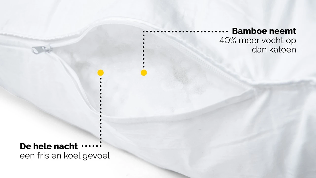 Hoofdkussen B Bright Bamboe 5 Hoofdkussen B Bright Bamboe - Afbeelding 5