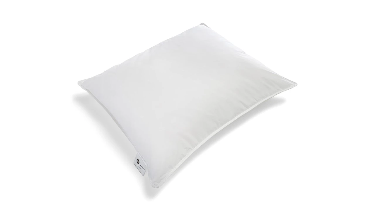 Hoofdkussen B Bright Bamboe 1 Hoofdkussen B Bright Bamboe