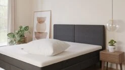 Hoofdkussen Emma Essential -Karlsson Winkel Hoofdkussen Essential 3