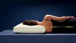 Hoofdkussen First Kapok -Karlsson Winkel Hoofdkussen First Kapok 2