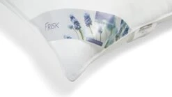 Hoofdkussen Frisk -Karlsson Winkel Hoofdkussen Frisk 3