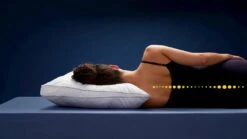 Hoofdkussen Sevilla 8 Hoofdkussen Sevilla -Karlsson Winkel Hoofdkussen Sevilla 2