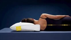 Hoofdkussen Silvana Support Royale Geel 7 Hoofdkussen Silvana Support Royale Geel -Karlsson Winkel Hoofdkussen Silvana Support Royale geel geel 2