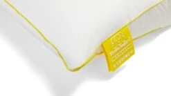 Neksteunkussen Silvana Support Cristal -Karlsson Winkel Neksteunkussen Silvana Support Cristal 3