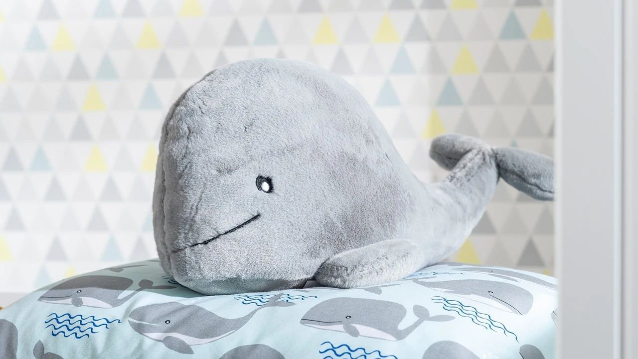 Sofabed Puck Met Dakframe En Half Dak 10 Sofabed Puck Met Dakframe En Half Dak - Afbeelding 10