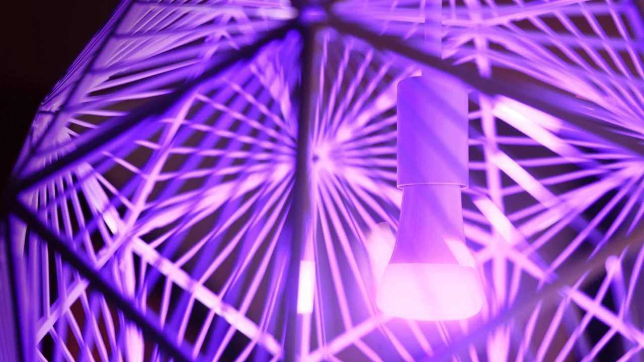 Verlichting Philips Hue White And Color Ambiance Starterkit E27 (2 Lampen, 2 Dimmers + Bridge) 2 Verlichting Philips Hue White And Color Ambiance Starterkit E27 (2 Lampen, 2 Dimmers + Bridge) - Afbeelding 2